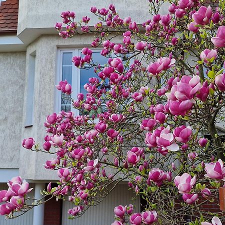 Apartament Magnolia Sopot Exteriör bild